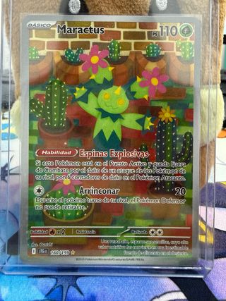 Maractus JTG 160/159 (Español)