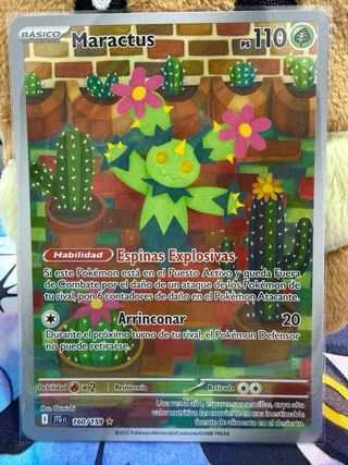 Maractus JTG 160/159 (Español)