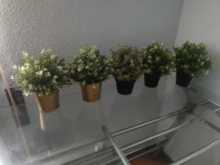 Plantas artificiales decorativas (2 doradas, 3 neg