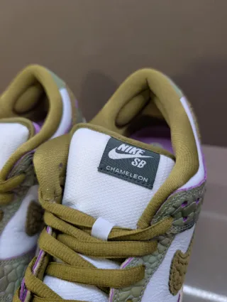 Nike Sb Dunk Low Chameleon || Size 45.5