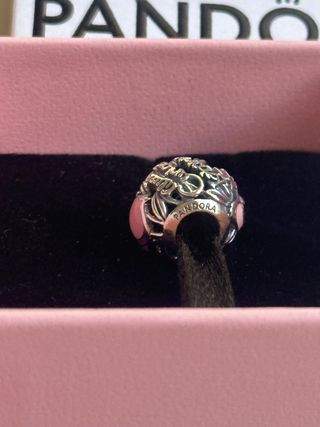Pandora Charm Chesire Alicia
