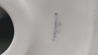 Sargadelos - San Roque en porcelana de Sargadelos