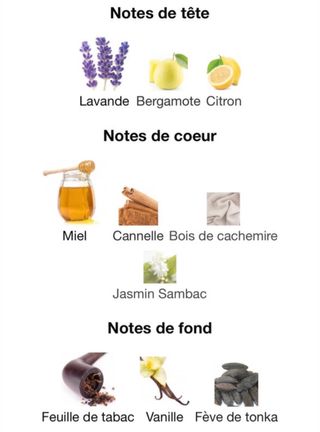 Xerjoff Naxos Perfume Original