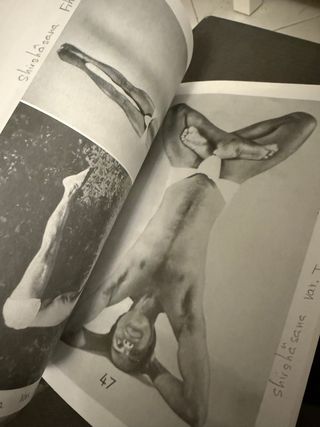 Libro La Santé par le Hatha Yoga, idioma Frances