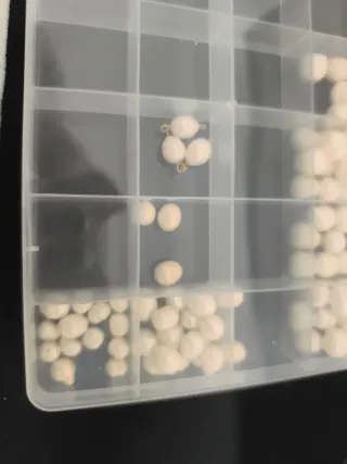 Surtido Perlas Naturales para Joyería