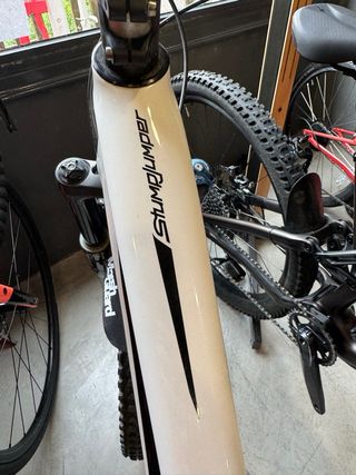 Bicicleta Specialized Stumpjumper Carbono 29