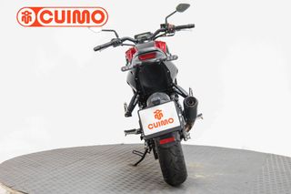 BENELLI LEONCINO 250