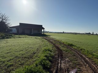 Finca rústica de 33 mil metros cuadrados 18 corton