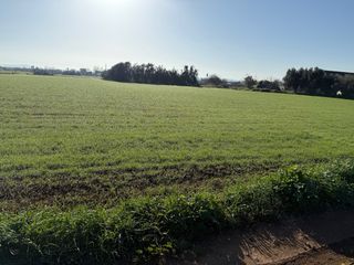 Finca rústica de 33 mil metros cuadrados 18 corton