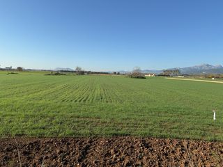 Finca rústica de 33 mil metros cuadrados 18 corton