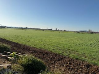 Finca rústica de 33 mil metros cuadrados 18 corton