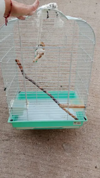 Jaula grande para pájaros