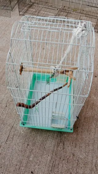 Jaula grande para pájaros