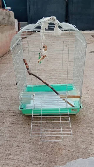 Jaula grande para pájaros