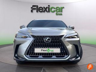 Lexus NX 350h Business City 4WD