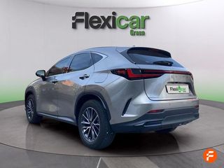 Lexus NX 350h Business City 4WD