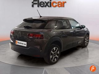 Citroën C4 Cactus PureTech 81KW (110CV) S&S EAT6 Feel