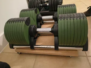 Mancuernas Ajustables Lullax Neo 40kg