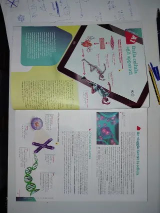 Tempo di sport. Idee per generare competenze, b...