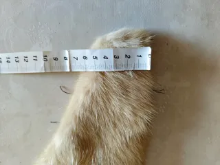 Collo in pelliccia beige e marrone