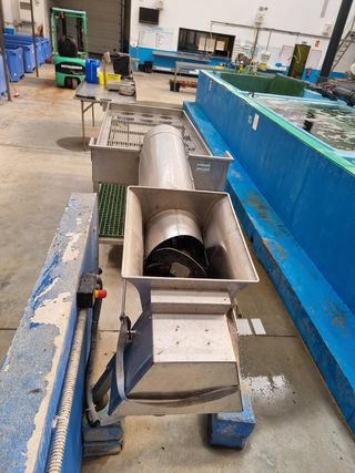 Clasificadora mejillón