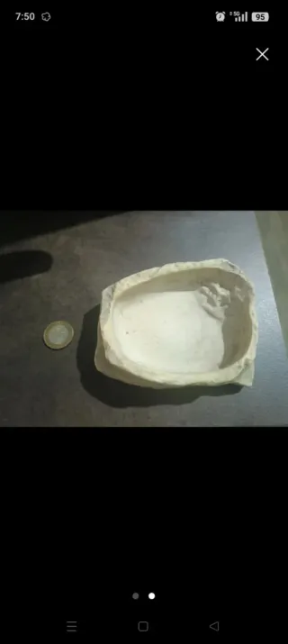 Comedero para reptiles