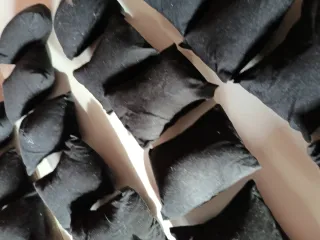 Lote 37 cojines expositor pulseras/relojes