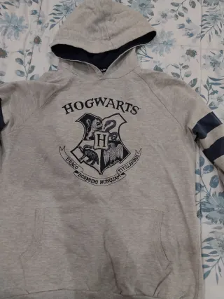 Sudadera Harry Potter Hogwarts Gris