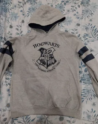 Sudadera Harry Potter Hogwarts Gris
