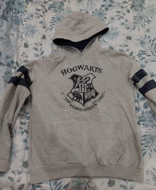 Sudadera Harry Potter Hogwarts Gris