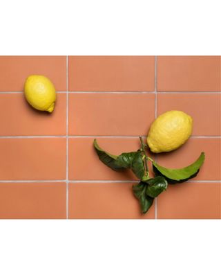 Baldosas terracota barro 10x20cm