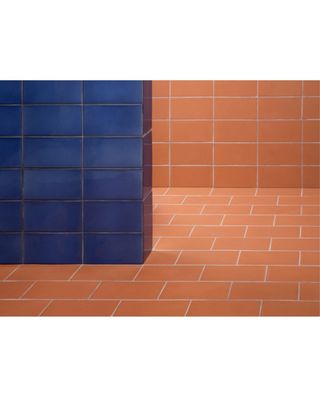 Baldosas terracota barro 10x20cm