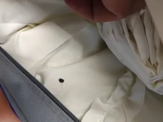 Edredón Lush Decor Blanco NUEVO a estrenar