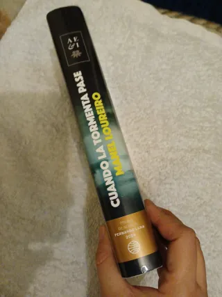 Cuando la tormenta pase: Premio de Novela Ferna...