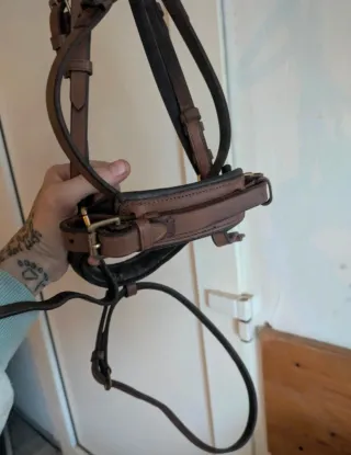 Cabezada Pony Coñac