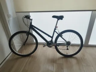 Bicicleta negra