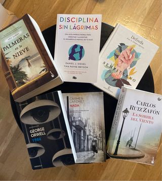 Lote 6 libros