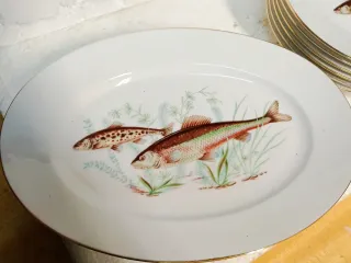 Servizio Piatti Richard Ginori Pesci Porcellana