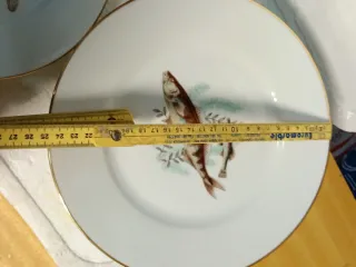 Servizio Piatti Richard Ginori Pesci Porcellana