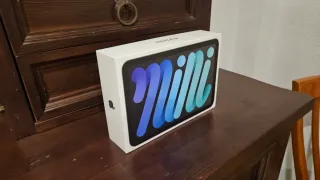 iPad Mini 6 256GB 5G Grigio Siderale