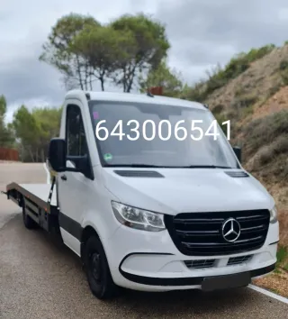 Grúa Porta Coches Particular