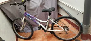 Bicicleta niña/o 25' (8-10 años)