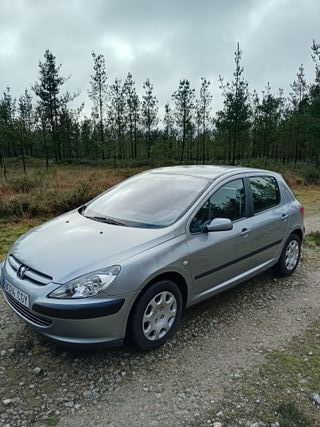 Peugeot 307 1.6i 16V