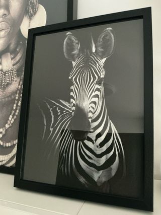 Set de 2 Cuadros Decorativos