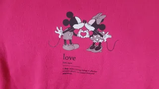Lote 2 Sudaderas Disney Mickey y Minnie