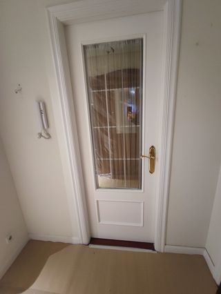 Puerta interior blanca con cristal y moldura