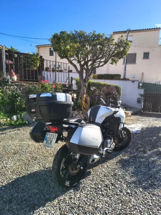 ✅ BENELLI TRK 502 ✅