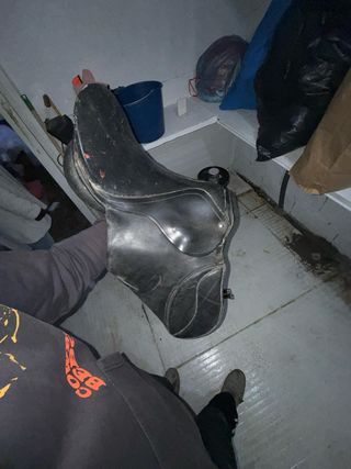 Montura inglesa de cuero