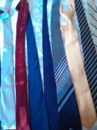 Lote de corbatas variadas