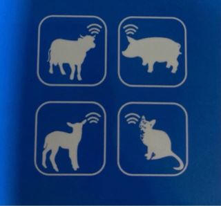 Lector Chip Identificación Animal